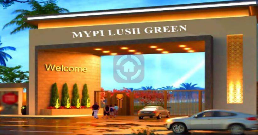 Mypi Lush Green Cover Image